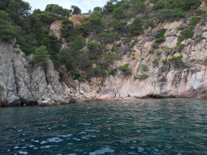 img_5131