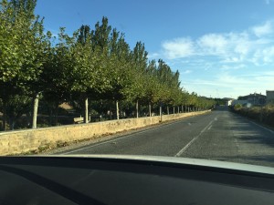 The arbor Fernando Banales had built for Artajona when he was mayor